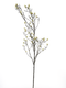 Nova nature - Magnolia bud branch cream 182 cm kunstbloem