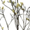 Nova nature - Magnolia bud branch cream 182 cm kunstbloem