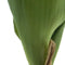 Nova nature - PSO Holland tulip Sally w/bulb orange 18 cm kunstbloem