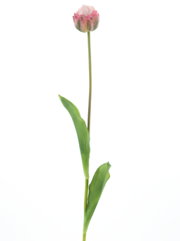 Nova nature - PSO Tulip spray Paris Sally pink 79 cm kunstbloem