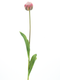 Nova nature - PSO Tulip spray Paris Sally pink 79 cm kunstbloem