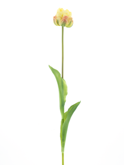 Nova nature - PSO Tulip spray Paris Sally lt yellow 79 cm kunstbloem