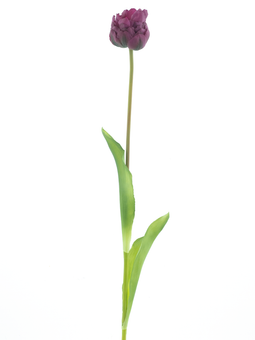Nova nature - PSO Tulip spray Paris Sally purple 79 cm kunstbloem