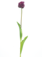 Nova nature - PSO Tulip spray Paris Sally purple 79 cm kunstbloem