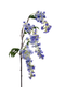 Nova nature - Sweet pea spray Mick lavender 92 cm kunstbloem