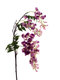 Nova nature - Sweet pea spray Mick beauty 92 cm kunstbloem
