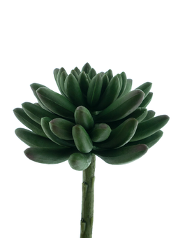 Nova nature - Echeveria pick Anna green 14.5 cm kunstbloem