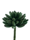 Nova nature - Echeveria pick Anna green 14.5 cm kunstbloem