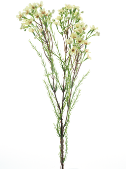Nova nature - Wax flower spray cream 78 cm kunstbloem