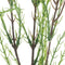 Nova nature - Wax flower spray cream 78 cm kunstbloem