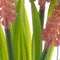 Nova nature - Muscari in glass pot w/hanger pink 18 cm kunstbloem