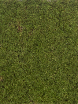 Nova nature - Moss mat green 50x50 cm kunstbloem