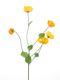 Nova nature - Melastoma spray yellow 76 cm kunstbloem