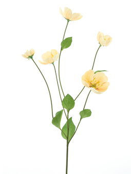 Nova nature - Melastoma spray peach 76 cm kunstbloem