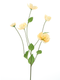 Nova nature - Melastoma spray peach 76 cm kunstbloem