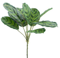 Nova nature - Maranta leaf spray Taco green 43 cm kunstbloem