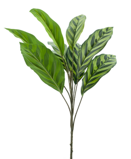 Nova nature - Aglaonema bush yellow/green 62 cm kunstbloem