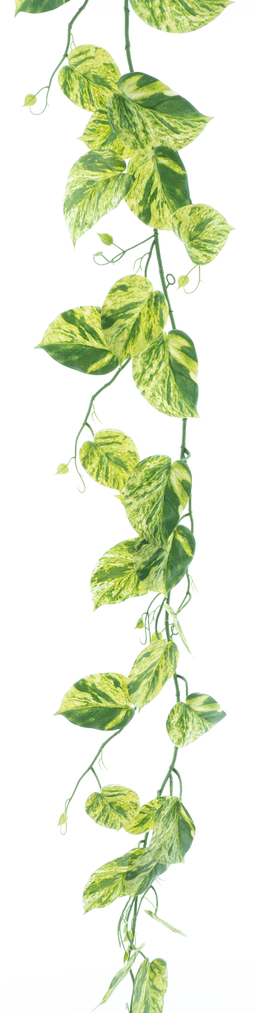 Nova nature - Pothos garland green/cream 180 cm kunstbloem