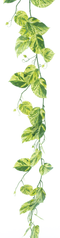 Nova nature - Pothos garland green/cream 180 cm kunstbloem
