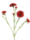 Nova nature - (Best) Dianthus Charly red 62 cm kunstbloem