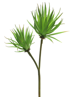 Nova nature - Agave plant pick x2 green 64 cm kunstbloem