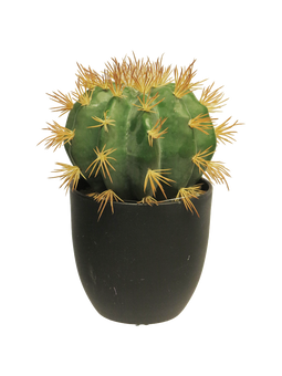 Nova nature - SO Golden Barrel cactus w/pot green 23 cm kunstbloem