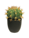 Nova nature - SO Golden Barrel cactus w/pot green 23 cm kunstbloem