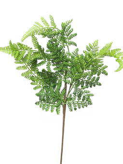 Nova nature - (Best) Athyrium leaf spray green 57 cm kunstbloem