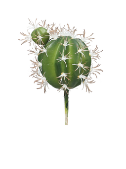 Nova nature - SO Bol cactus green 15 cm kunstbloem
