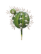 Nova nature - SO Bol cactus green 15 cm kunstbloem