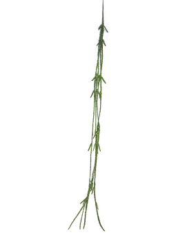 Nova nature - Cactus Lia hanger green 107 cm (S) kunstbloem