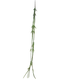 Nova nature - Cactus Lia hanger green 107 cm (S) kunstbloem