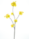 Nova nature - Prunus Malaga spray yellow/pink 84 cm kunstbloem