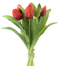 Nova nature - PSO Vermeer tulip bundle Sally red 31 cm kunstbloem