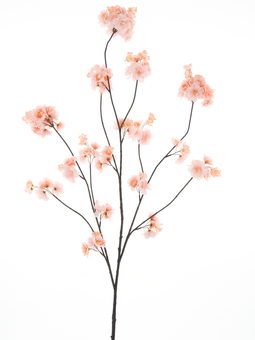 Nova nature - Prunus Malaga spray lt peach 126 cm kunstbloem