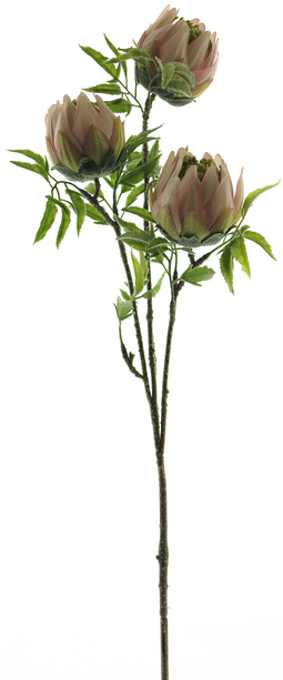 Nova nature - Protea spray pink 73 cm kunstbloem