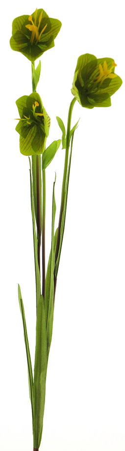 Nova nature - Cora bell spray tt green 79 cm kunstbloem