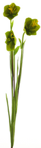 Nova nature - Cora bell spray tt green 79 cm kunstbloem