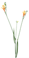Nova nature - Freesia spray orange 76 cm kunstbloem