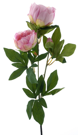Nova nature - (Best) Paeony spray Chiba pink 65 cm kunstbloem