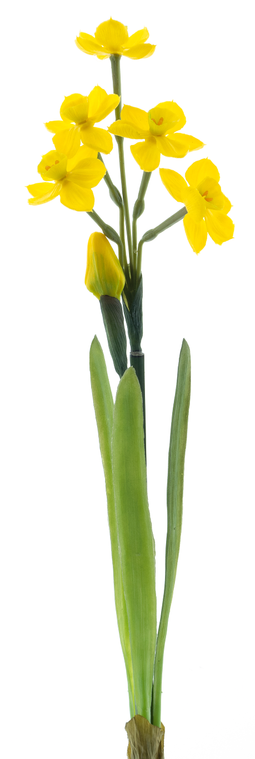 Nova nature - Narcissus Crailo spray yellow 50 cm kunstbloem