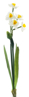 Nova nature - Narcissus Crailo spray cream/yellow 50 cm kunstbloem