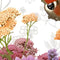 Jub - Tas happy butterfly mix, 14 bloembollen