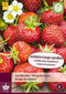 Jub - Fragaria senga sengana, 5 bloembollen