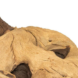 Aquadistri - Mopani wood 20kg large Aquadistri