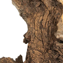 Aquadistri - Mopani wood 20kg x-large Aquadistri