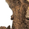 Aquadistri - Mopani wood 20kg x-large Aquadistri