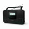 Portable Digitale Radio Muse Zwart AM FM