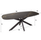 AnLi Style Eetkamertafel spider deens ovaal 180