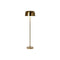 Vloerlamp Home ESPRIT Gouden Metaal 50 W 220 V 41 x 41 x 148 cm